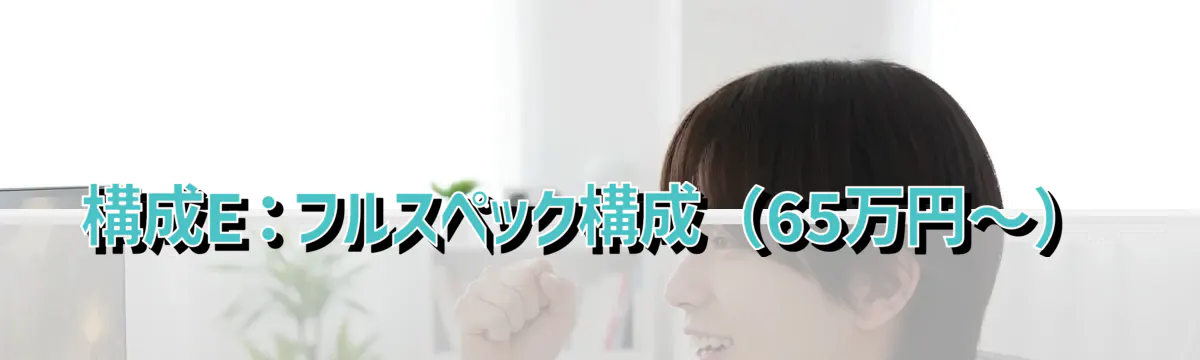 構成E:フルスペック構成(65万円〜)